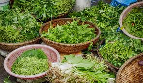 Healthy Living Tips: Herbs to Boost Immune System
