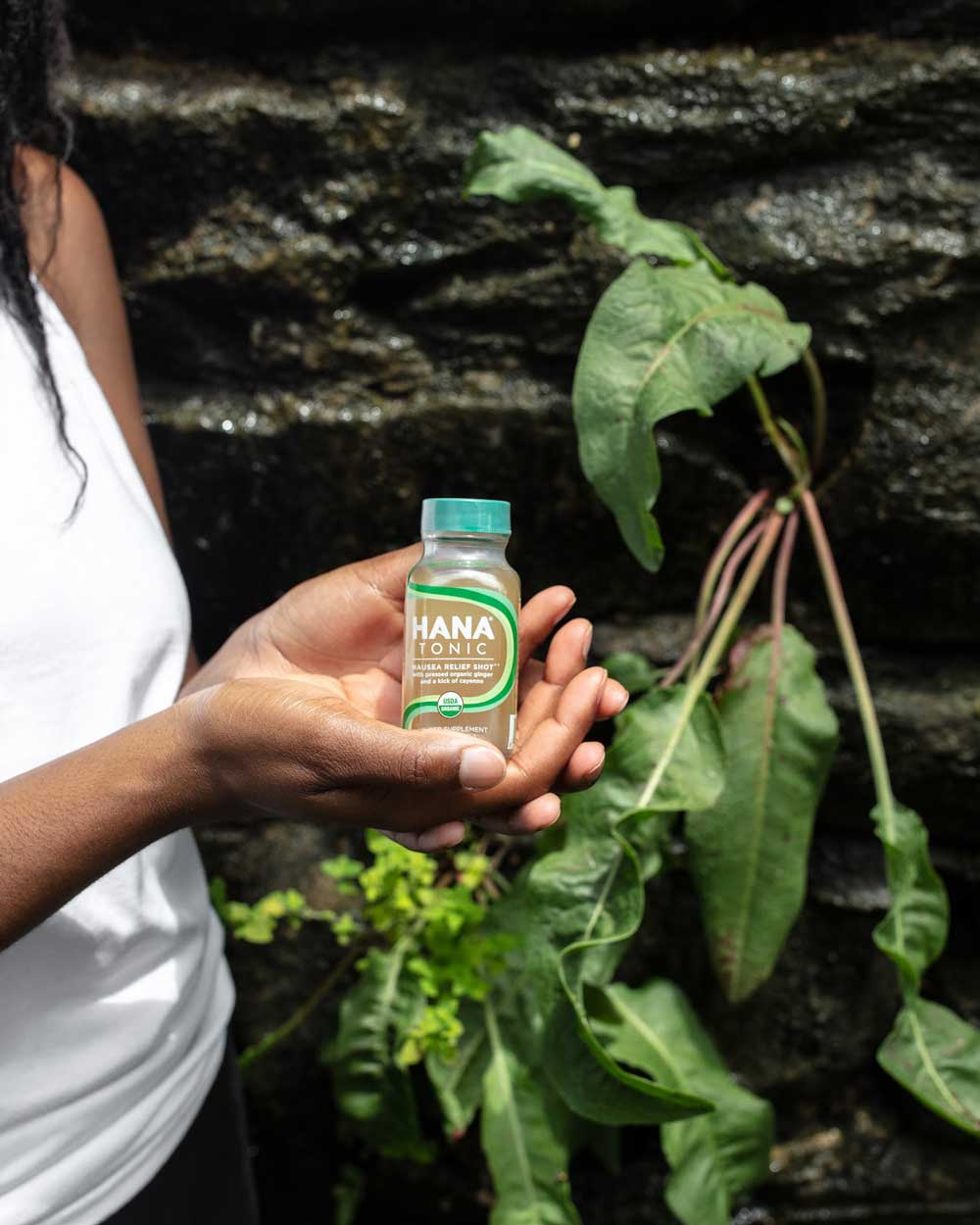 5 Best Foods for Gut Health