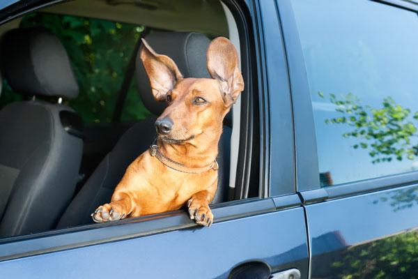 7 Tips to Avoid Motion Sickness