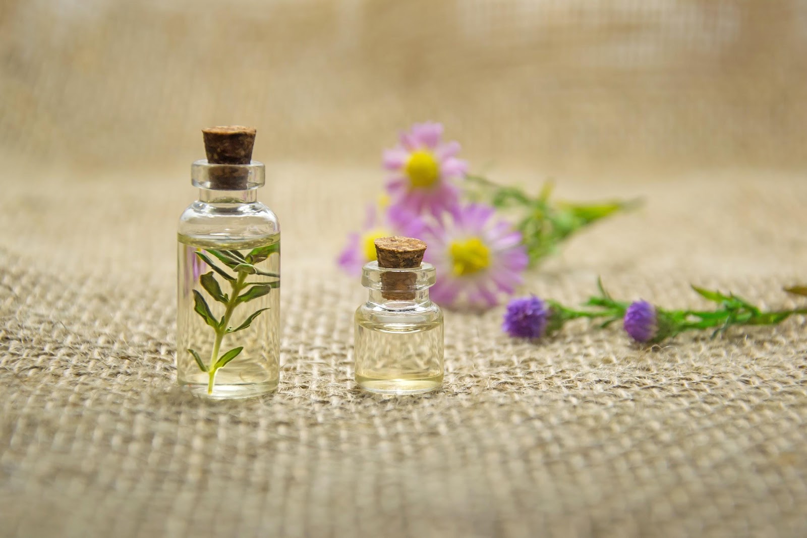 Ginger Essential Oil Benefits